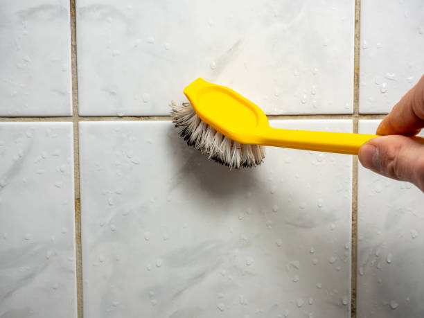 Best Affordable Mold Removal  in Medulla, FL