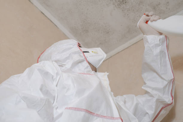 Best Crawl Space Mold Removal  in Medulla, FL